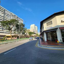 Balestier Road (D12), Apartment #478186301